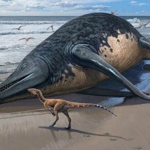 O fóssil de réptil marinho gigante de 200 milhões de anos - TONY JOLLIFFE BBC