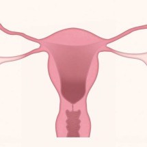 O câncer de ovário e seus sintomas (parte 1) -  LJNovaScotia/Pixabay