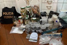 Operação contra a venda de cogumelos alucinógenos cumpre mandados em BH