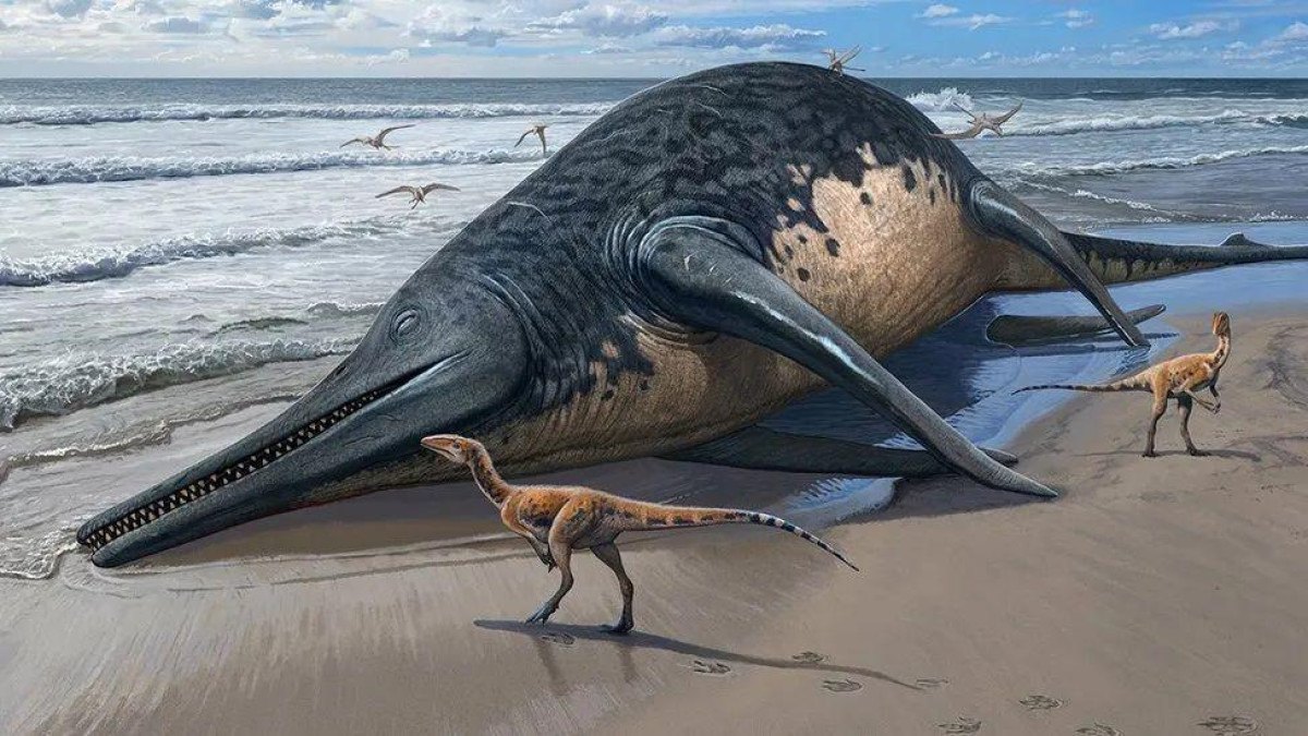 O fóssil de réptil marinho gigante de 200 milhões de anos