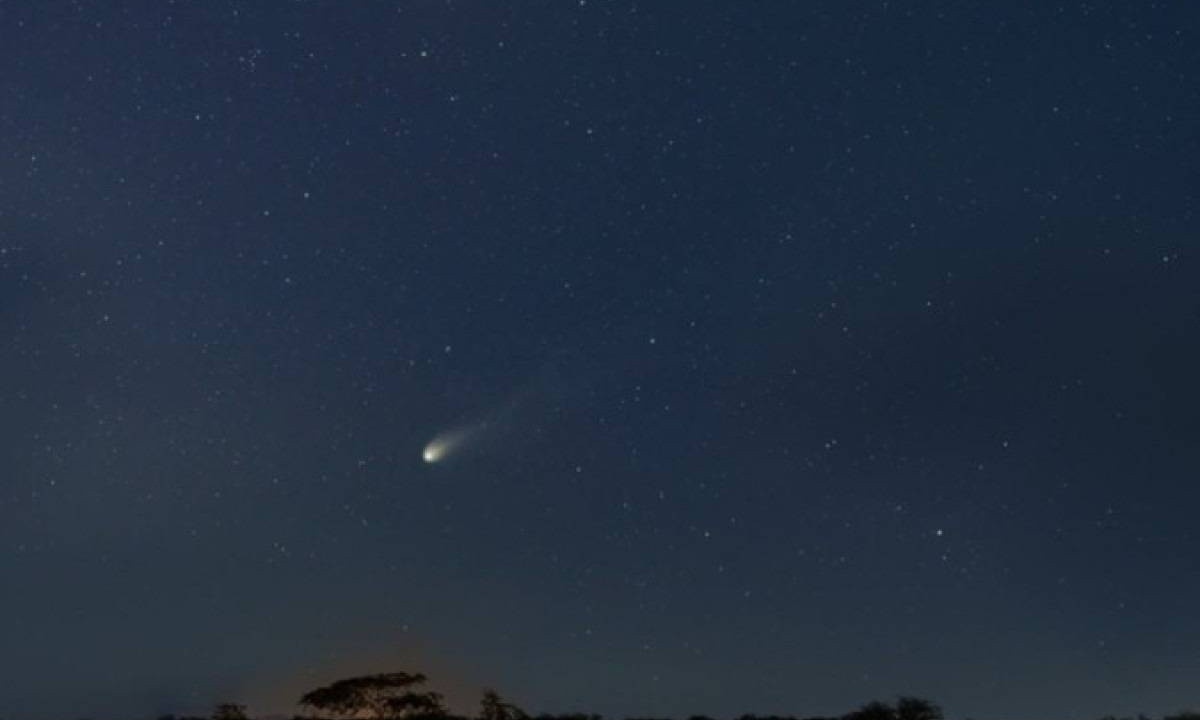 'Cometa do diabo' poderá ser visto no Brasil a partir de domingo (21) -  (crédito: Divulgação/Observatório Nacional)