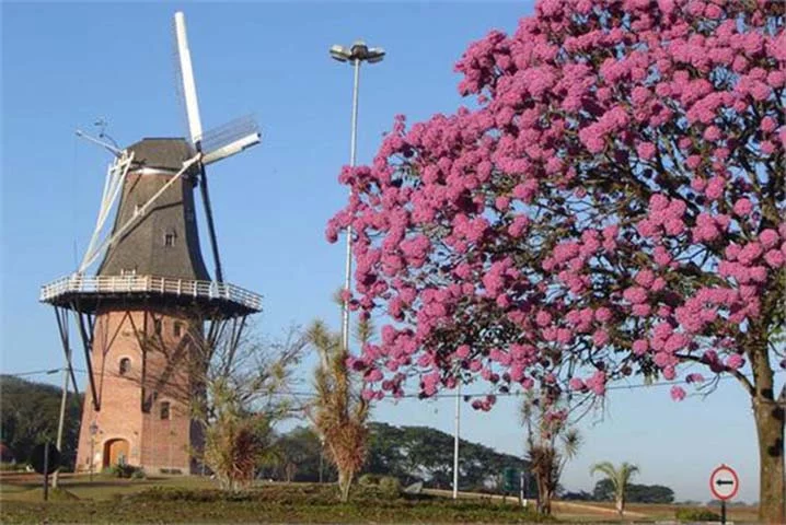 Além da beleza: Conheça a utilidade dos moinhos de vento