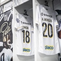 Santos na Série B: veja o elenco do clube na luta para voltar à elite nacional - Raul Baretta/Santos FC