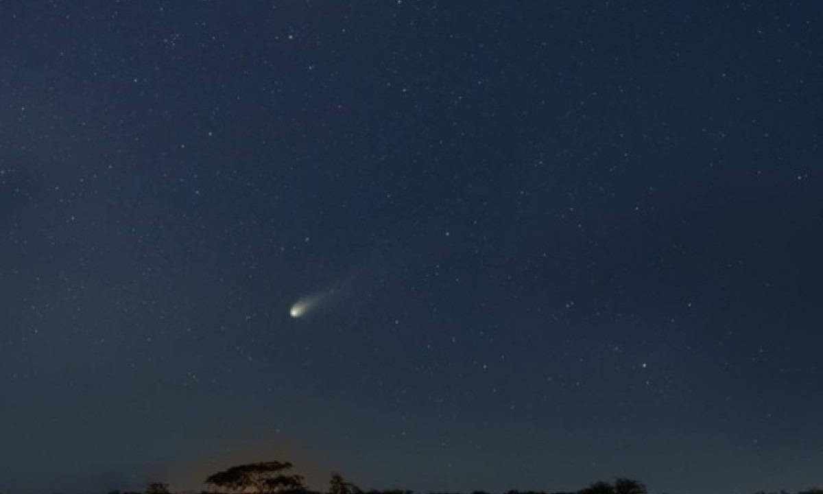 'Cometa do diabo' poderá ser visto no Brasil a partir de domingo (21) -  (crédito: Observatório Nacional/Divulgação)