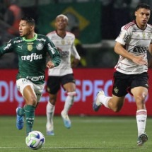 Palmeiras não vence o Flamengo há mais de seis anos no Allianz; relembre os jogos! - Cesar Greco/Palmeiras/by Canon