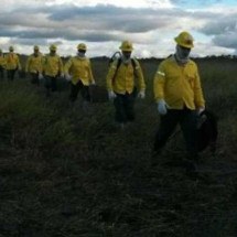 Governo de Minas abre inscrições para contratação de bombeiros - IEF/Divulga&ccedil;&atilde;o