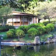 Parque Ecológico oferece degustação de chá japonês neste sábado - Gladyston Rodrigues/EM/D.A Press