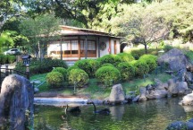 Parque Ecológico oferece degustação de chá japonês neste sábado