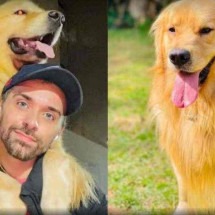 Morte de cachorro: Gol suspende transporte de pets no porão por 30 dias - Arquivo pessoal/Reprodução