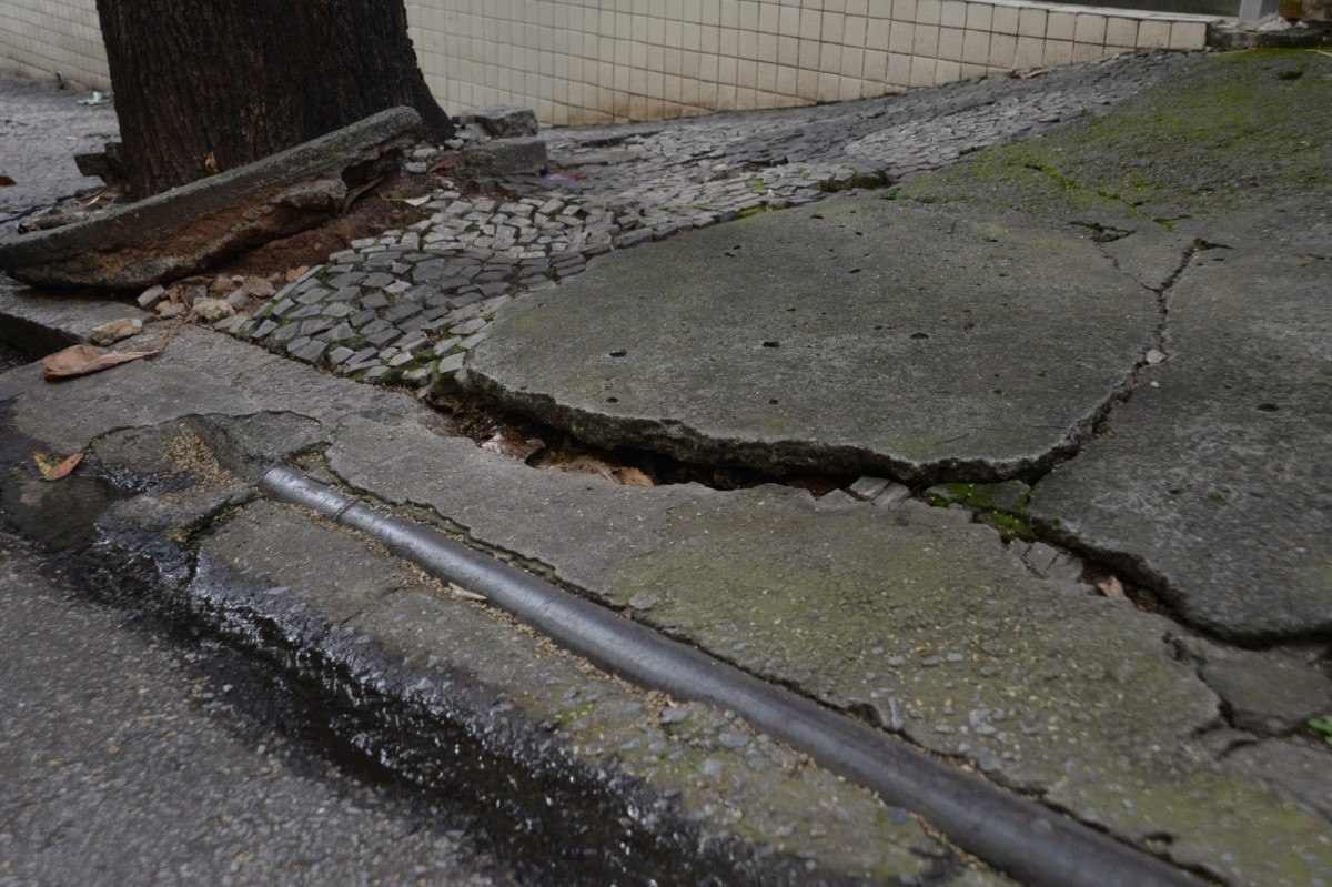 Castanheira de grande porte cedeu calçada na Rua Washington e causa transtorno aos moradores