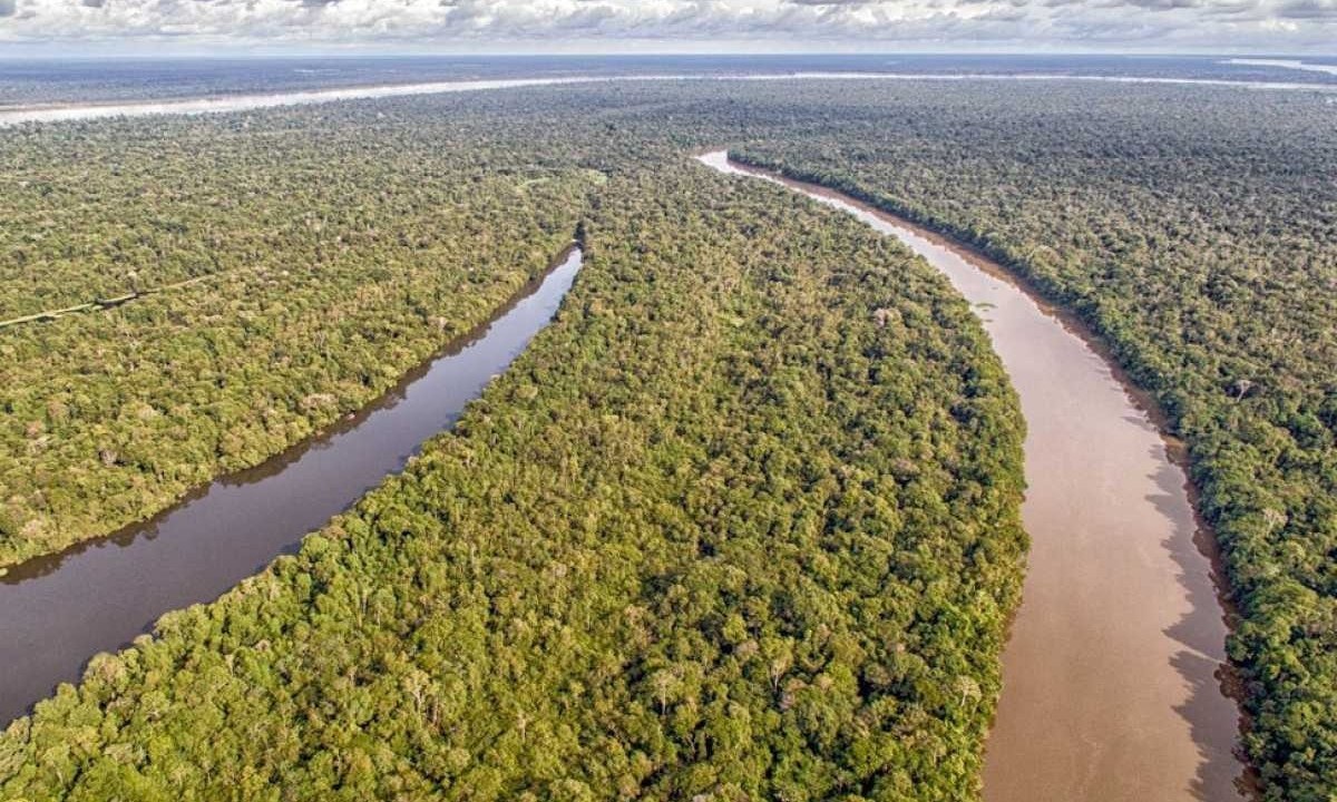 Floresta amazônica -  (crédito: Marcello Nicolato / Creative Commons)