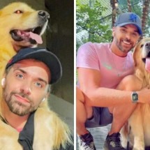 Cachorro morre em voo da Gol: veja características da raça Golden Retriever - Instagram