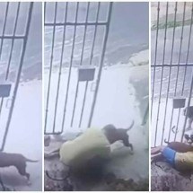 Vídeo: tutor e cadela ficam feridos em ataque de pitbull na porta de casa - Câmera de monitoramento/Reprodução