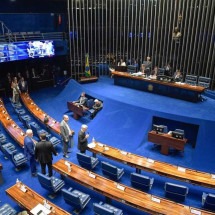 Governo tem vitória e consegue adiar sessão sobre derrubada de vetos  - Jonas Pereira/Agência Senado