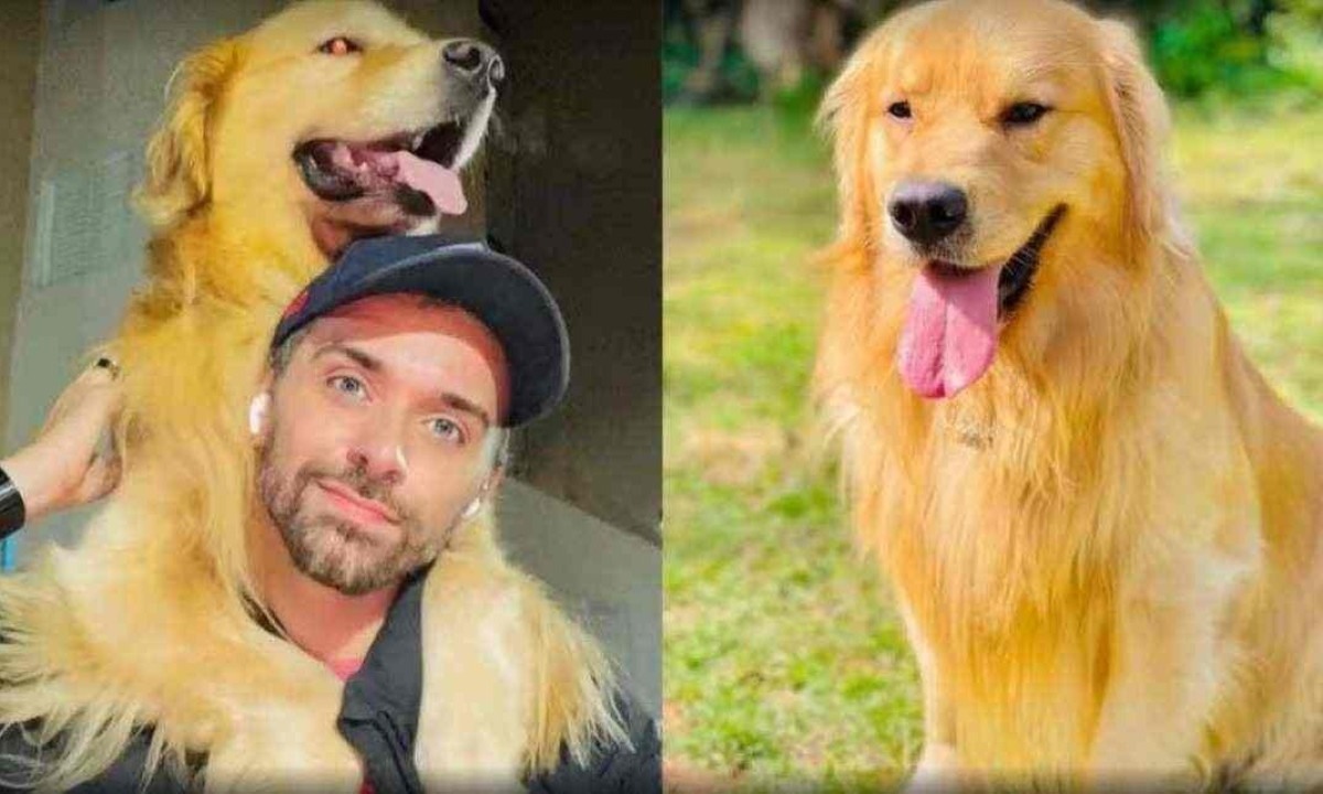 Cachorro Joca morreu na última segunda-feira (22/4) -  (crédito: Arquivo pessoal/Reprodução)