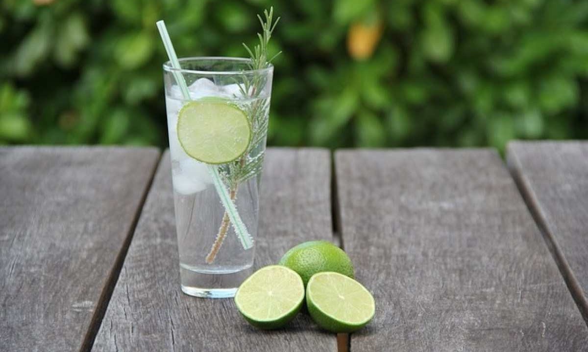 Água com limão: embora possa ter benefícios para a digestão, ela não é uma solução milagrosa para o emagrecimento -  (crédito:  sgroene/Pixabay)