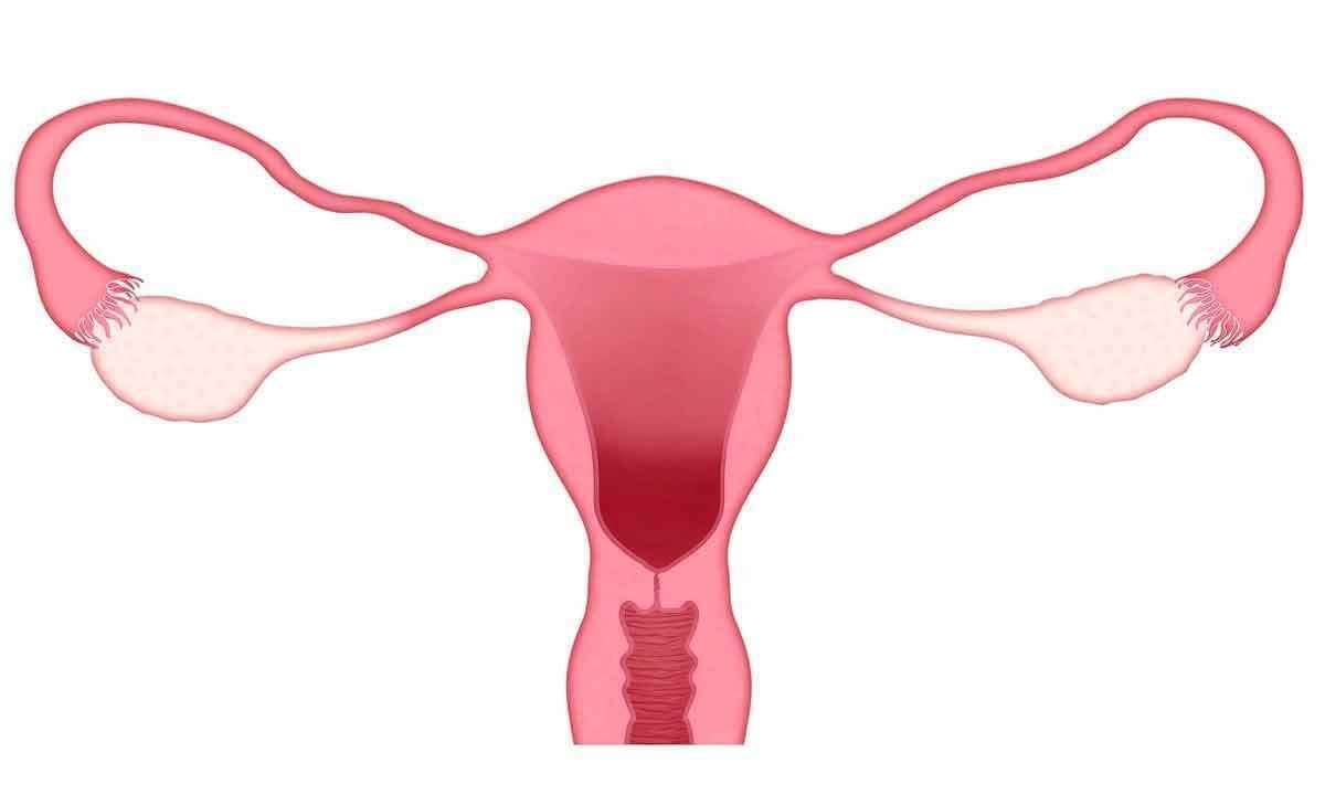 O câncer de ovário e seus sintomas (parte 2)