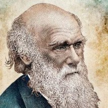 Como viagem de Darwin ao Brasil influenciou a Teoria da Evolução - Getty Images