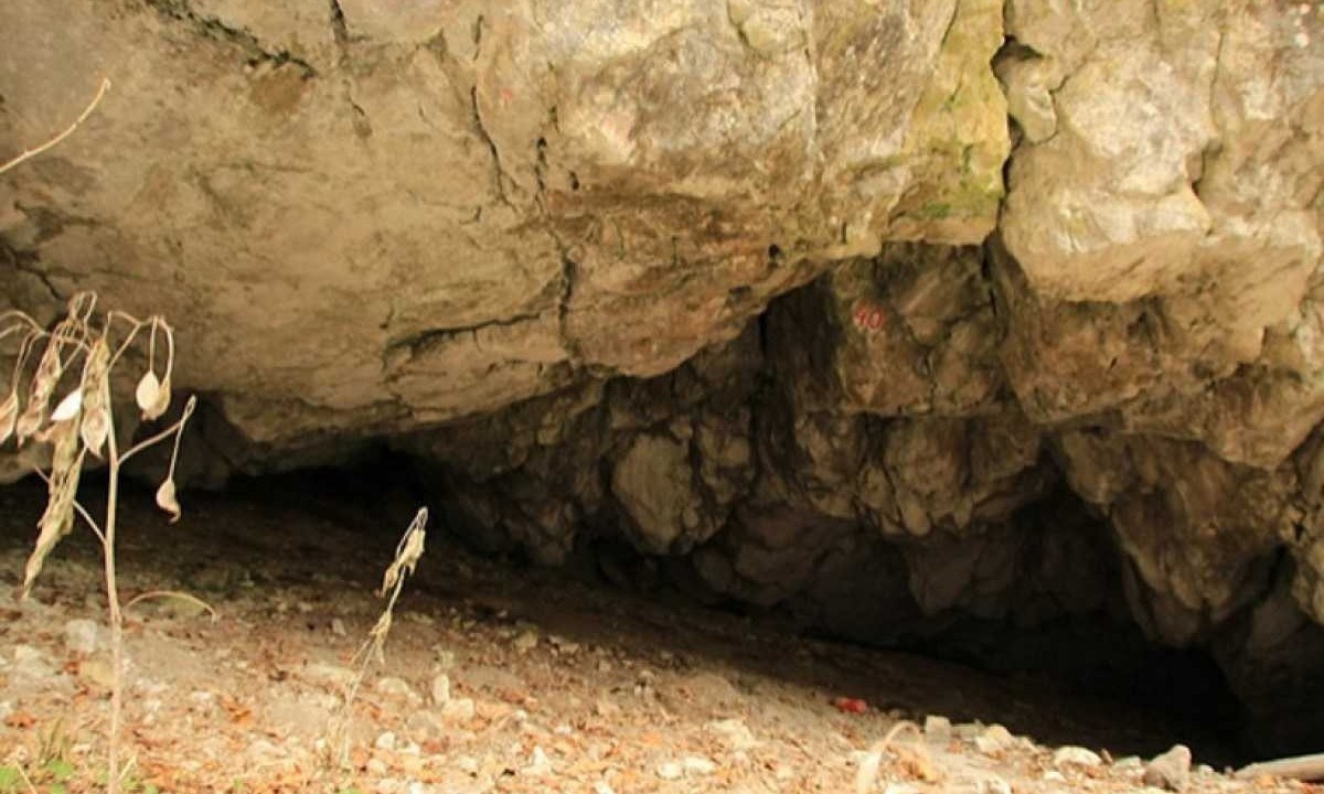 Caverna na região da garganta do rio Vârghi, nos Cárpatos Orientais, Romênia. A missão romeno-brasileira vai prospectar e escavar os sítios desse tipo, onde possa ter ocorrido a interação entre o Homo sapiens e o Homo neanderthalensis -  (crédito: Marius Pascu/Wikimedia Commons)