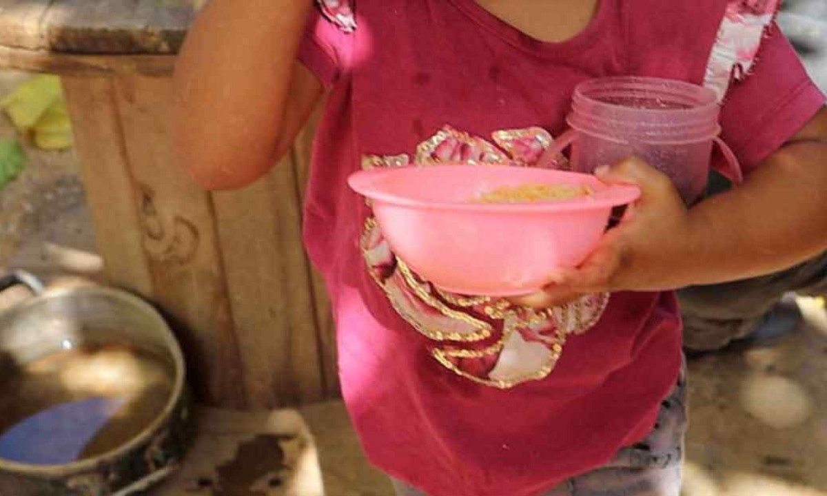  No Brasil, mais de 27% dos lares enfrentam privação de alimentos, em graus de leve a grave -  (crédito:  Jair Amaral/EM/D.A Press)