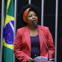 Deputada petista que votou por prisão de Brazão será relatora do caso - Vinicius Loures/Câmara dos Deputados