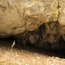 Cientistas brasileiros buscam na Romênia os traços dos últimos neandertais - Marius Pascu/Wikimedia Commons