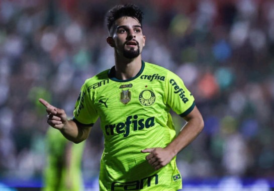 Foto: Rebeca Reis/Ag. Paulistão