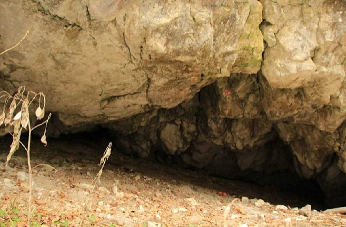 Cientistas brasileiros buscam na Romênia os traços dos últimos neandertais