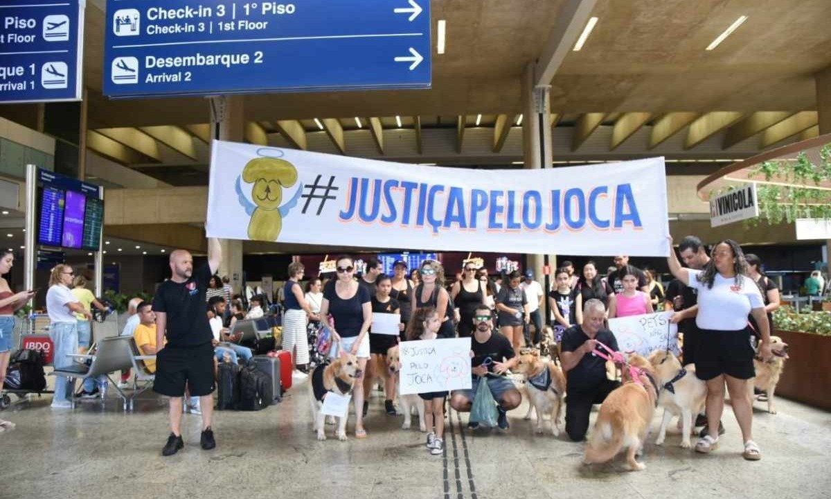 Tutores acompanhados pelos seus cães, em frete ao guichê da Gol, no aeroporto de Confins -  (crédito: Gladyston Rodrigues/EM/D.A. Press)