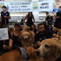 Joca: manifestantes protestam contra morte de cachorro - Marcelo Ferreira/CB/D.A Press