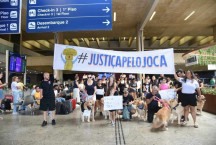Morte de cão em voo da Gol: tutores fazem manifestação em Confins