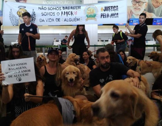 Protesto contra morte dp cão Joca, no aeroporto de Brasília -  (crédito: Marcelo Ferreira/CB/D.A Press)