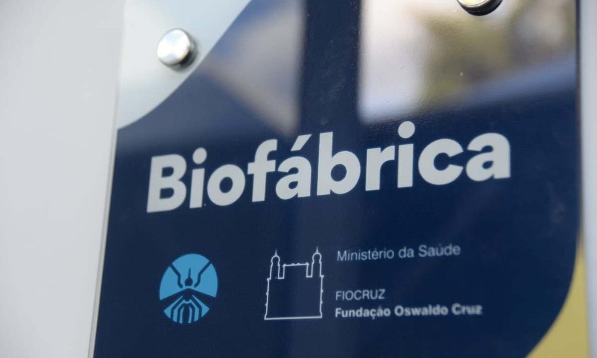 A estimativa é que a biofábrica tenha produção semanal de 2,5 milhões de mosquitos -  (crédito: Tulio Santos/EM/D.A.Press)
