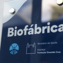 Minas inaugura biofábrica que ajuda na redução de transmissão da dengue  - Tulio Santos/EM/D.A.Press