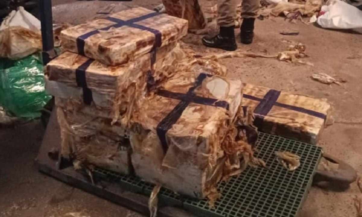 PM apreende 820 kg de maconha em galpão no Triângulo