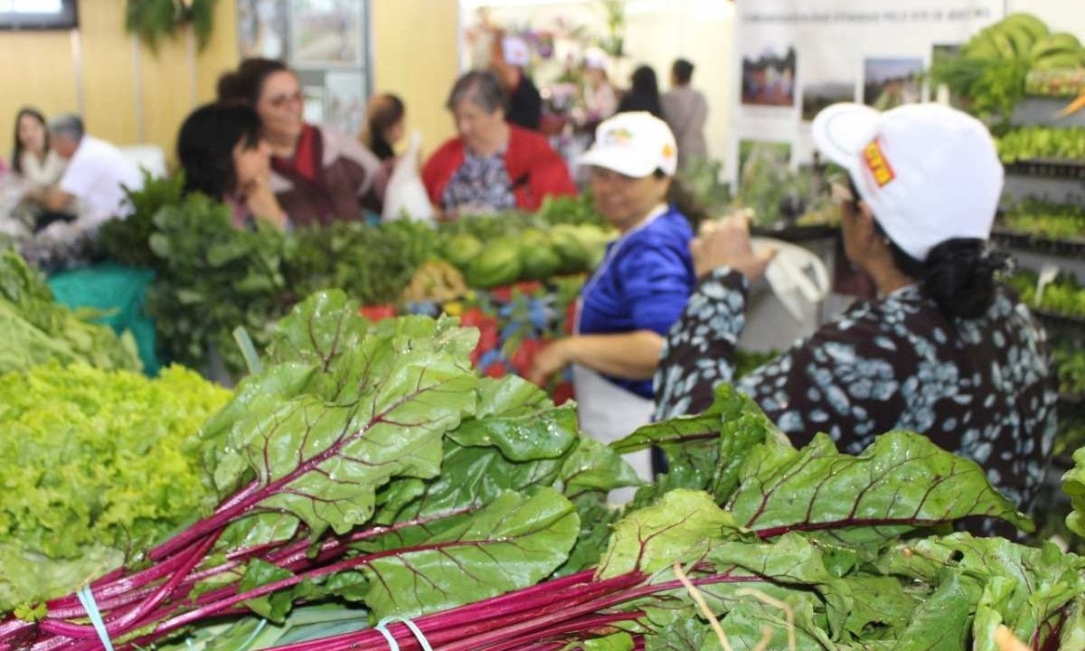 A maior feira de agricultura familiar do país acontece em BH -  (crédito: Divulgação/ Fetaemg)