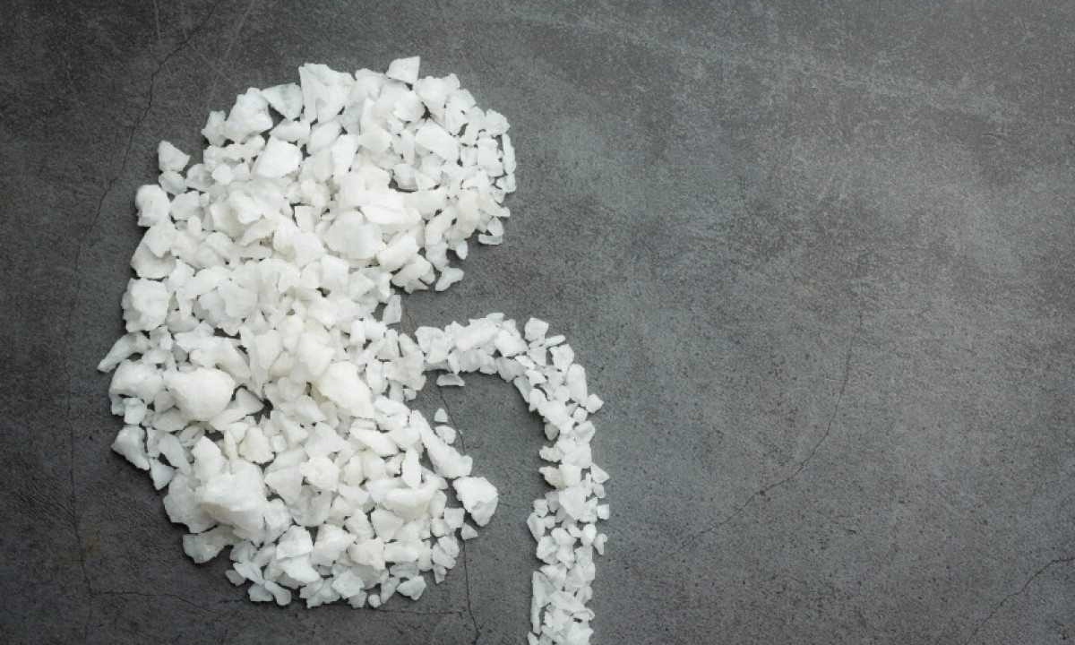 A doença renal crônica é caracterizada pela perda progressiva e irreversível da função dos rins ao longo de meses e anos -  (crédito: jcomp/ Freepik)