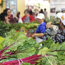 BH recebe mais uma edição da maior feira de agricultura familiar do país - Divulgação/ Fetaemg