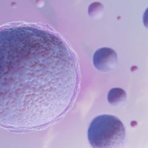Reprodução humana: os benefícios do congelamento de óvulos - Freepik