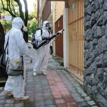 Após duas epidemias, morte reacende alerta para febre amarela em Minas  - Paulo Filgueiras/EM/D.A Press – 15/03/2018