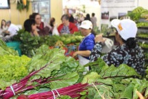 BH recebe mais uma edição da maior feira de agricultura familiar do país