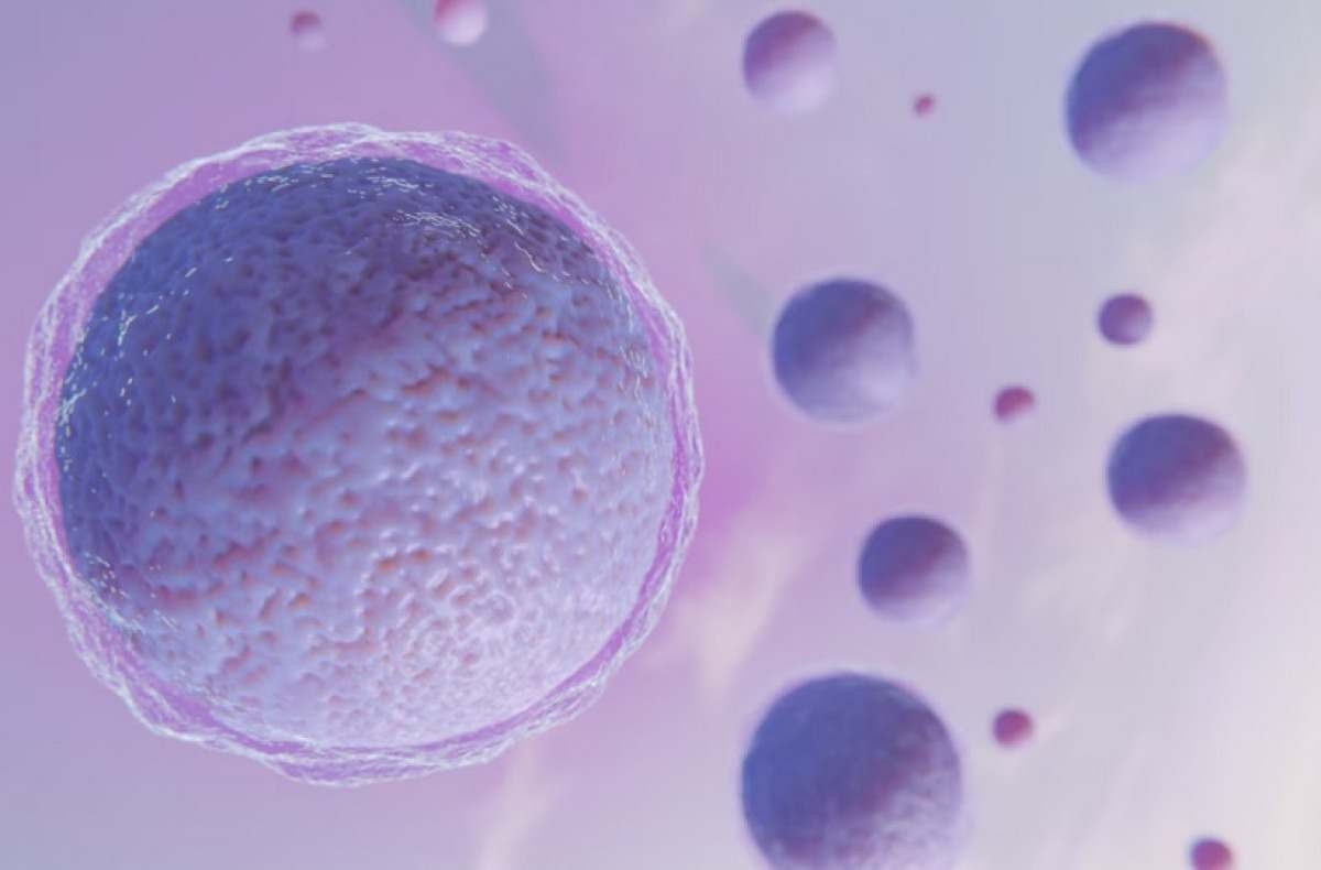 Reprodução humana: os benefícios do congelamento de óvulos