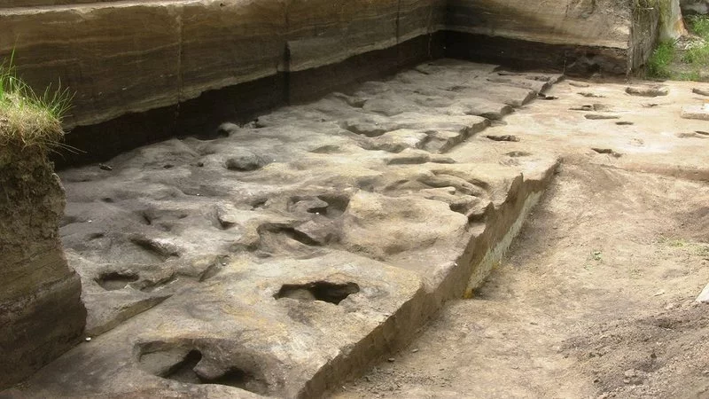 Encontradas na Alemanha pegadas de humanos primitivos de 300 mil anos - Divulgação/Universidade de Tubingen