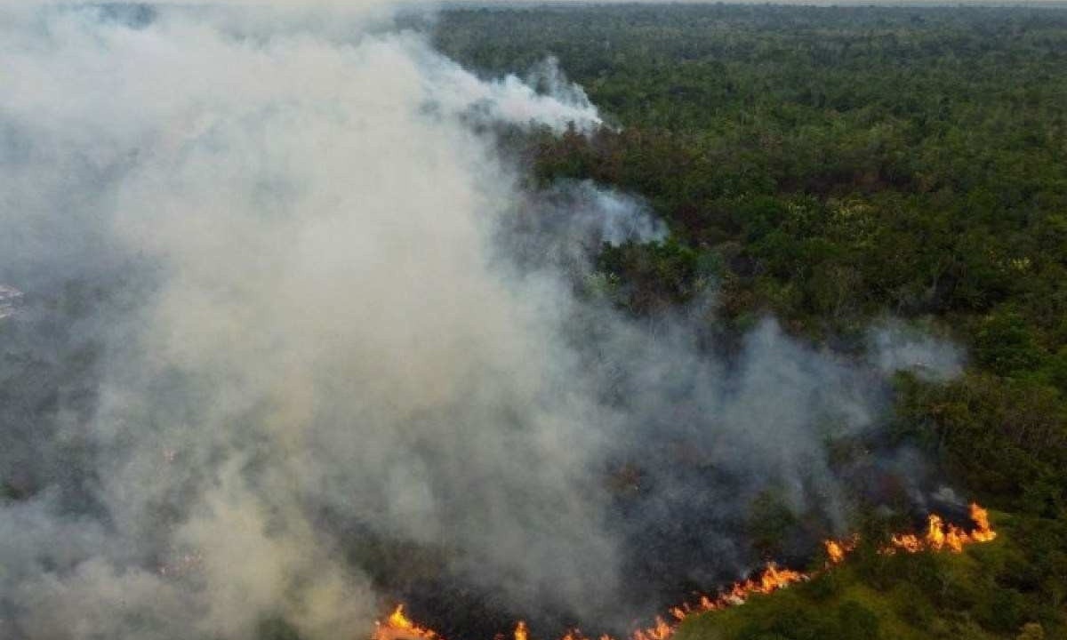 Trata-se de um número de incêndios sem precedentes para esse período desde que os dados começaram a ser compilados, em 1998 -  (crédito: AFP)