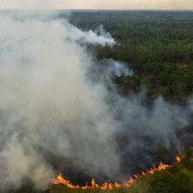 Brasil tem recorde de incêndios florestais entre janeiro e abril - AFP
