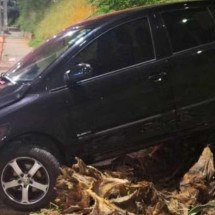Carro sem motorista desce barranco, atropela mulher e atinge poste - PMMG/Divulgação