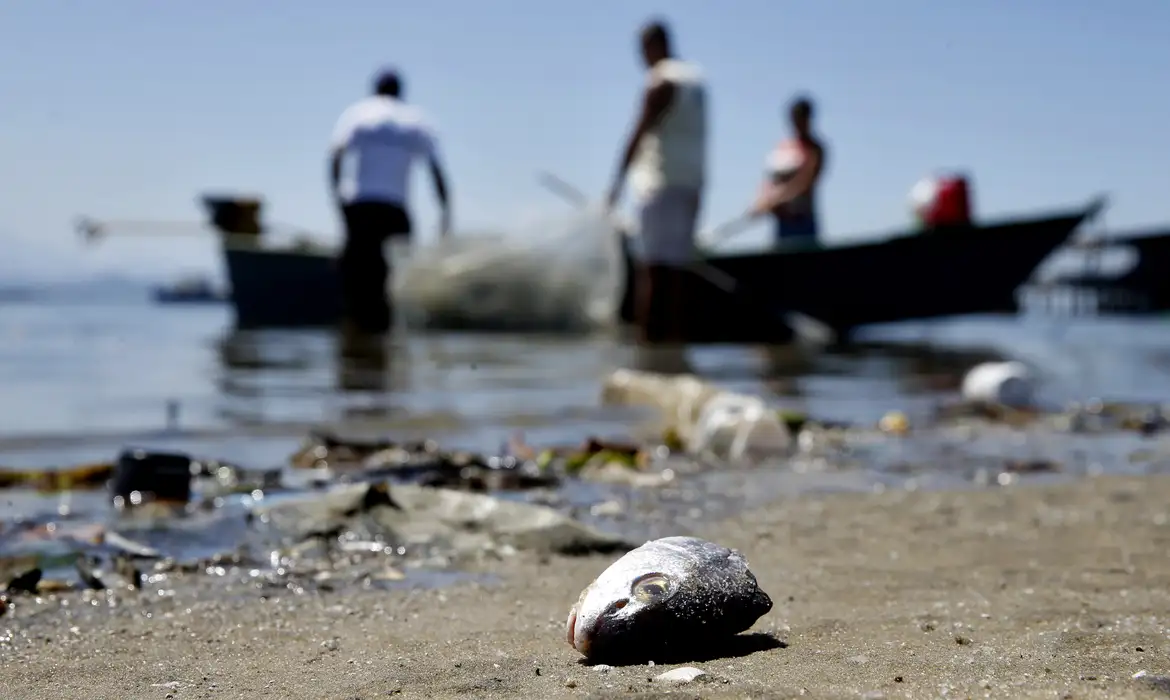 Rede ambiental traça caminhos para redução de lixo no mar no RJ -  (crédito: EBC)