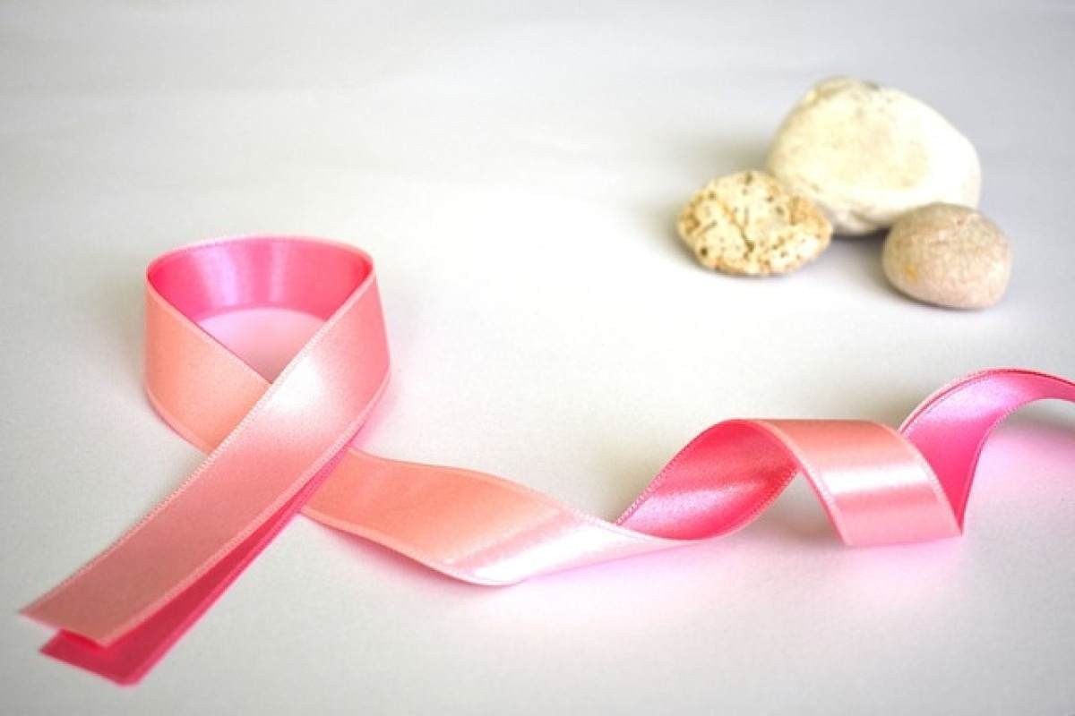 Câncer de mama: tratamento inibe crescimento de tumores e reduz metástases