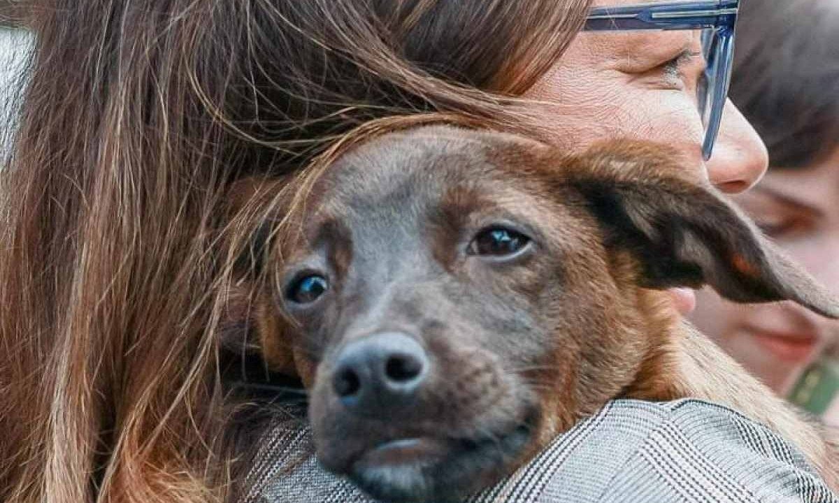 Janja adota cachorrinha vira-lata resgatada em Canoas, cidade gaúcha também atingida pela enchente -  (crédito: Cláudio Kbne)