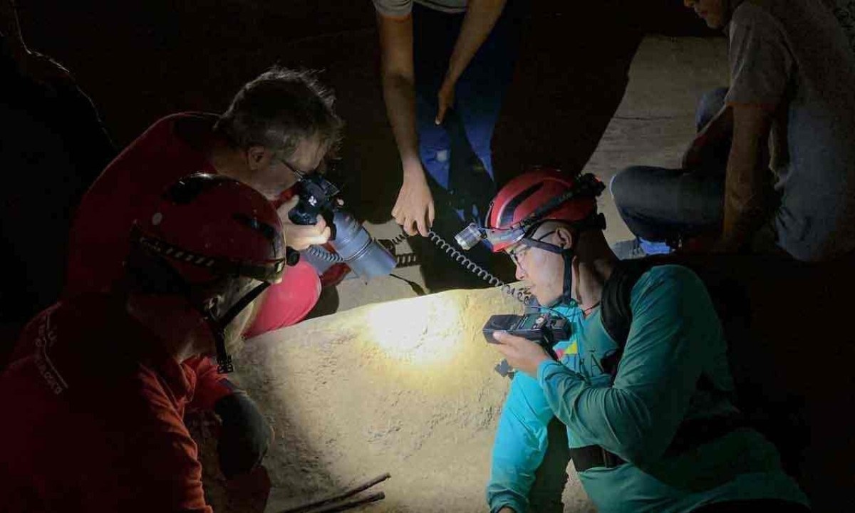 equipe de exploradores fotografa  o raro Eukoenenia maquinensis, encontrado  somente na gruta de cordisburgo -  (crédito: Mateus Parreiras/EM/D.A Press)